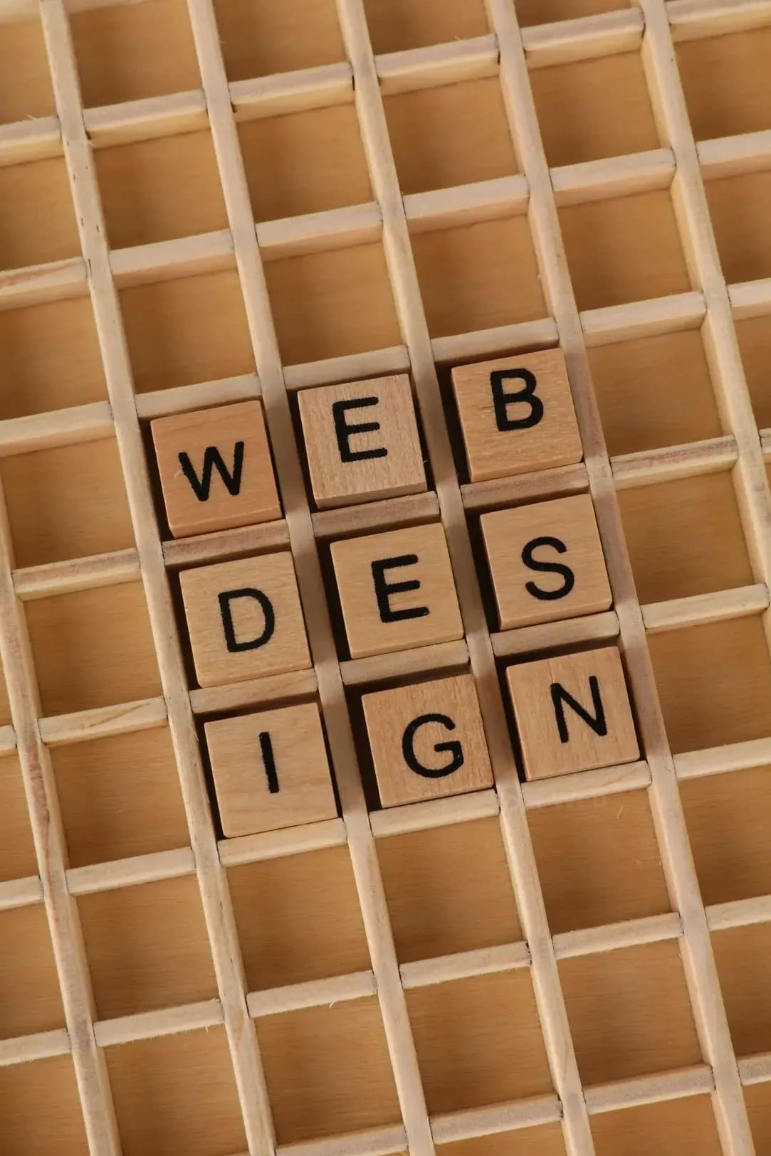 DM Web 10